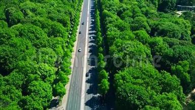 森林公路交通鸟瞰图